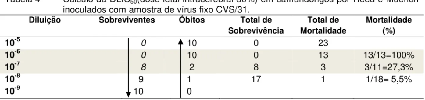 Tabela 4 -   Cálculo da DLIC 50 (dose letal intracerebral 50%) em camundongos por Reed e Müench  inoculados com amostra de vírus fixo CVS/31