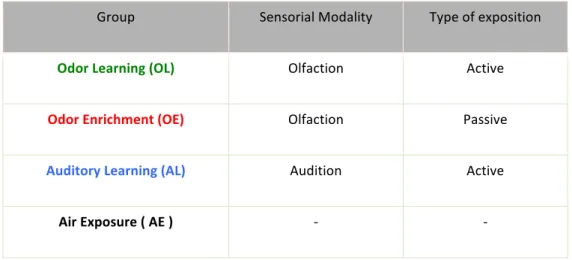 Table 1. Different groups of study according to the sensorial modality and the type of exposition evolved.