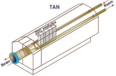 Figure 2.9: Schematic view of the ZDC modules inside the TAN.