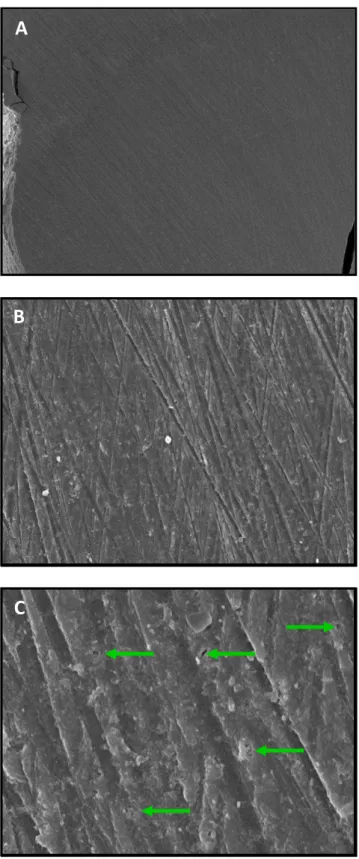Figura 5.1- Fotomicrografia ilustrativa em MEV da superfície de dentina sem condicionamento (G1)
