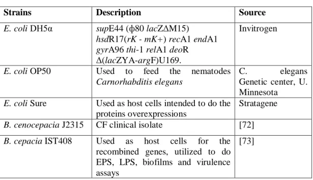 Table 2- Bacterial strains used.  