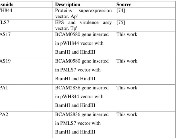Table 3- Plasmids used in this work. 