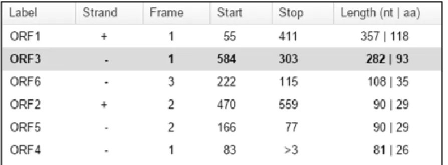 Figure 3.2 ORF prediction. Information  of  each  predicted  ORF  in  the  nucleotide  sequence  from  the  IGR  plus  38  nt  from  the  nucleotide  sequence  encoding  the  OmpA-like  protein,  retrieved  from  the  ORF Finder tool