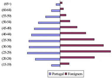Figure 1.3 Active population by age group, Portugal, 2001. 