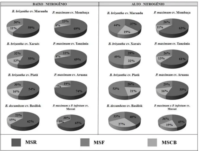 Figura  4  –   Proporção  da  produção  total  de  massa  seca  em  massa  seca  de  raízes  (MSR),  folhas  (MSF)  e  colmos+bainhas (MSCB) dos cultivares de  Brachiaria  e  Panicum  no terceiro corte, com variação  no fornecimento de nitrogênio  