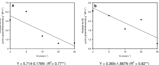Figura 3.7 – Atividade da  glutamina sintetase (GS) nas  folhas recém-expandidas  (LR) no primeiro (a) e  segundo (b) crescimentos do capim-marandu, em função das doses de nitrogênio (N)  