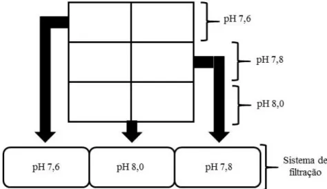 Figura 3.1- Ilustração esquemática do sistema experimental com diferentes níveis de pH