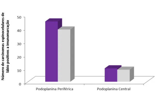 Gráfico 1 -   Quantidade  de  carcinomas  espinocelulares  positivos  a  imunomarcação,  da  podoplanina  nas diferentes localizações