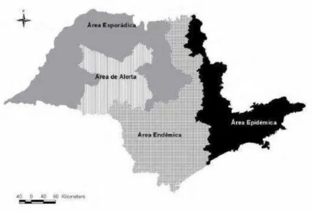 Figura 7- Classificação das áreas epidemiológicas de raiva em bovinos no estado de São Paulo 