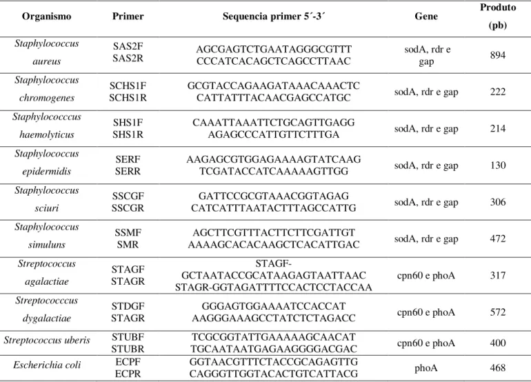 Tabela  4.  Seqüência  dos  primers  utilizados  na  confirmação  dos  microrganismos  mais  frequentes  no  isolados no isolamento de mastite subclínica em búfalas