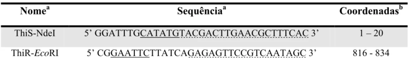 Tabela 3 - Oligonucleotídeos utilizados para amplificação do genes thi1 e thi1(A140V) 