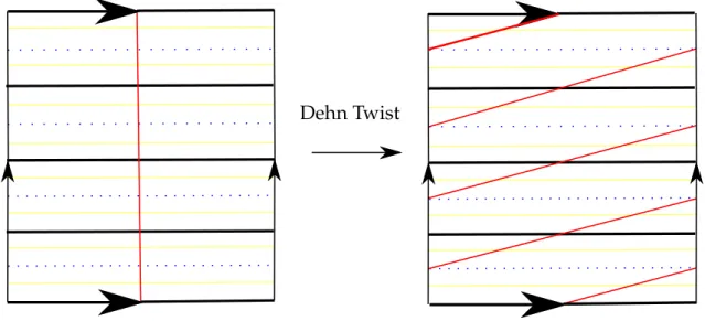Figura 1.2: Dinˆamica de um Dehn twist em R 2 / Z 2