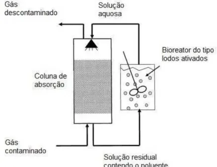 Figura 3  –  Biolavador (Adaptado de DELHOMÉNIE; HEITZ, 2005). 