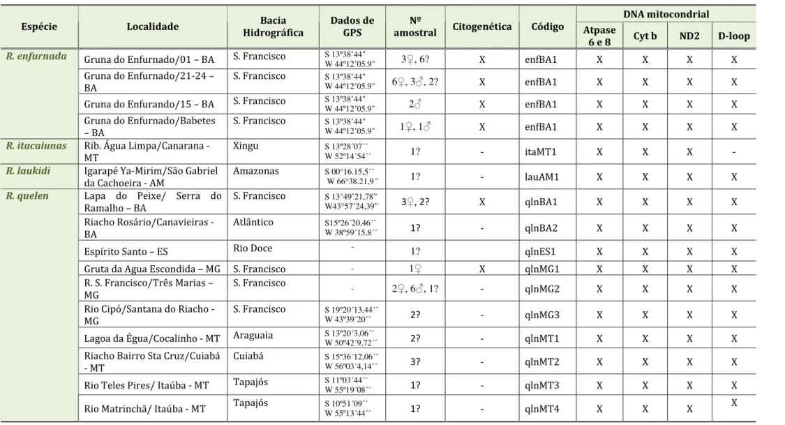 Tabela 3: Listagem das espécies estudadas no presente trabalho e dos códigos de identificação dos exemplares utilizados nas análises  filogenéticas