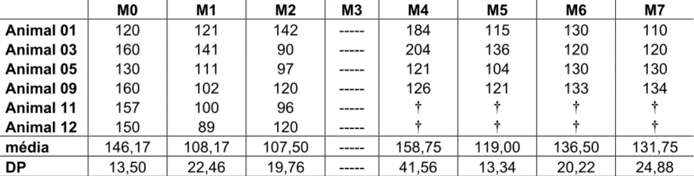 Tabela 10 - Valores individuais de pressão arterial sistólica (P.A.S.) em mmHg, médias e respectivos desvios- desvios-padrão dos animais do grupo B, submetidos a oito minutos de parada circulatória total - São Paulo -  2005  M0 M1 M2  M3  M4 M5 M6 M7  Anim