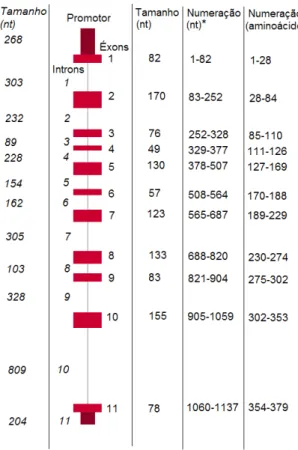 Figura  7  –   Tipos  de  mutação  descritas  no  gene  GALT  até  janeiro  e  2015  em  http://www.arup.utah.edu/database/galactosemia/GALT_display.php.