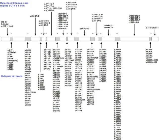 Figura 8 - Mutações no gene GALT documentadas até janeiro de 2015. A referência para cada  mutação citada está disponível em  http://www.arup.utah.edu/database/galactosemia/GALT_ 