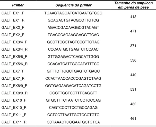 Tabela 2 - Primes usados nas PCRs e tamanho dos amplicons do gene GALT. 