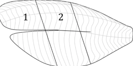 Figura 1 – Ilustração das porções de filés de tilápia para as análises sensoriais da amostra cozida   