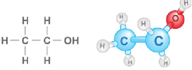 Figura  1  -  Estrutura    bidimensional  (a)  e  tridimensional  (b)  do  álcool.  Este  é  formado  por  2  moléculas  de  Carbono, 6 de hidrogénio e uma de oxigénio