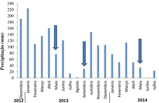 Figura 4 -   Distribuição  da  precipitação  durante  o  período  e  localização  das  coletas  (dados  fornecidos  pelo  Departamento  de  Engenharia  Biossistemas  –   LEB/ESALQ),  no  período de dezembro de 2012 a julho de 2014