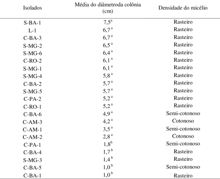 Tabela 2 – Valores médios do crescimento micelial (cm) e avaliação morfológica da hifas após  10 dias de cultivo em meio TDA 
