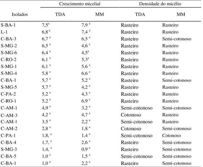 Tabela 3 – Crescimento micelial (cm) e morfologia da colônia dos 21 isolados com 10 dias  de  cultivo em meio TDA e MM 