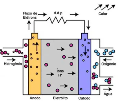 Figura 3.5.2.1  Esquema  de  funcionamento de uma célula a combustível de  membrana trocadora de prótons (adaptado da referência 29)