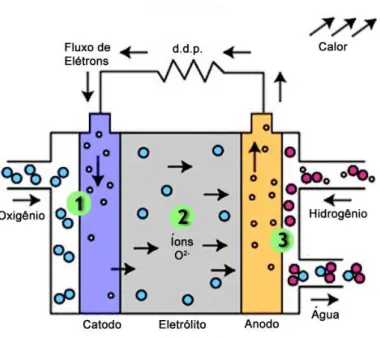 Figura 3.5.5.1   Esquema  de  funcionamento de uma célula a combustível do  tipo óxido sólido (adaptado da referência 29)