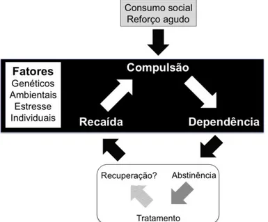 Figura  9.  Estágios  envolvidos  na  dependência  a  uma  substância  química. 