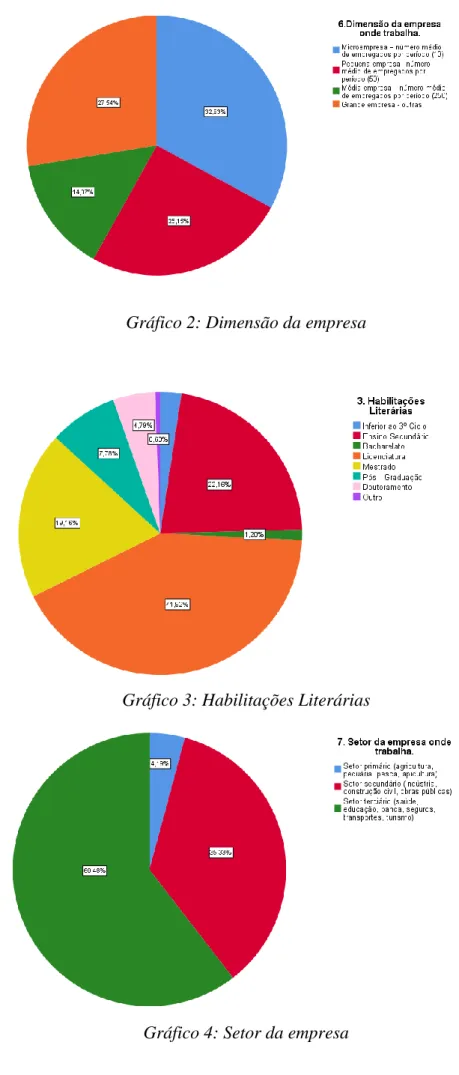 Gráfico 3: Habilitações Literárias 