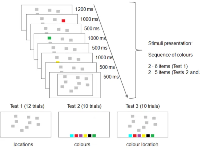 Figure 3.1. Schematic of the experimental protocol. A sequence of colours was presented for  memorisation and then participants were required to indicate the order (forward version) or  the  reverse  order  (backward  version)  of  locations  (Test  1),  c
