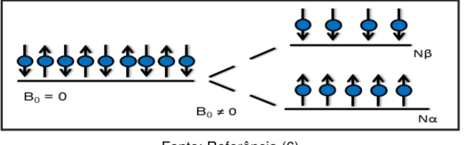 FIGURA 1: Diagrama representativo dos níveis de energia para I = ½ , na ausência e presença de B 0 .