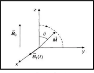 FIGURA 3: Rotação do vetor magnetização resultante por um ângulo , dado pela  equação 5
