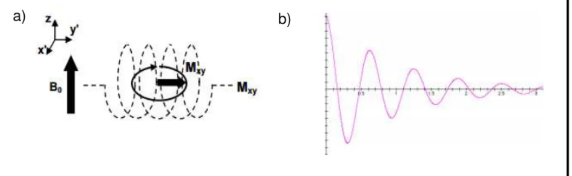 FIGURA  4:  Evolução  da  M  na  bobina  de  detecção  (a)  e  (b)  o  sinal  gerado  pelos  processos  de  relaxação