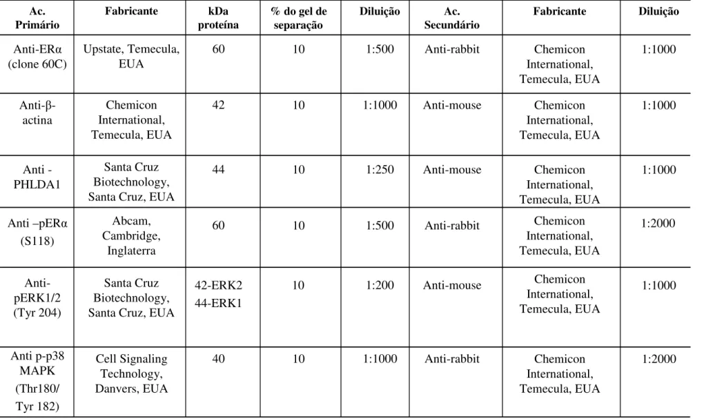 Tabela 1. Diluições dos anticorpos primários e secundários utilizados, peso molecular das proteínas analisadas e concentração do gel de separação.