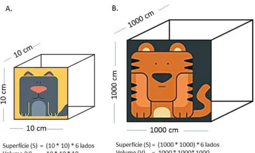 Figura  2.  Relação  entre  superfície  e  volume  em  um  cubo.  Neste  exemplo,  o  cubo  A  representa um animal de tamanho pequeno que tem uma relação superfície/volume maior  que o animal representado pelo cubo B