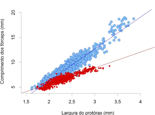 Fig. A2. Regressão linear entre o comprimento dos fórceps e a largura do protórax na  tesourinha Labidura xanthopus