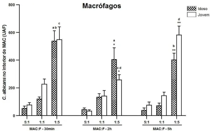 GRÁFICO 2. Média ± desvio padrão de fungos C. albicans internalizados por macrófagos de  idosos ou de jovens, após diferentes proporções de células em relação às leveduras (MAC:F) e  após  diferentes  períodos  de  desafio  in  vitro