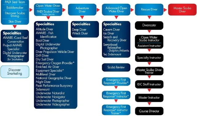 Figura 2 Esquema de Cursos PADI 