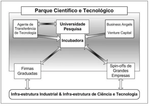 Figura 4 - Modelo de contextualização de Parque Científico e Tecnológico e  Incubadora de Empresas de Base Tecnológica, proposto pela OCDE (1997)