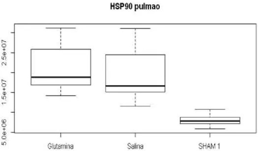 Figura 5  -  Expressão (unidades arbitrárias - U.A) de HSP 90 no pulmão 2 horas  após  a  indução  de  pancreatite  aguda  em  ratos  Lewis  submetidos  à  infusão  parenteral de diferentes soluções