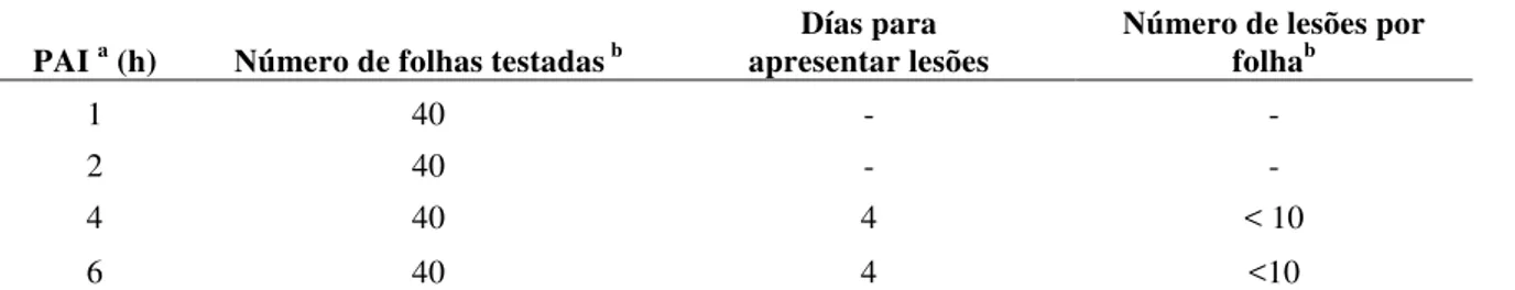 Tabela  2  –  Transmissão  de  CiLV-C  por  B.  phoenicis  em  P.  vulgaris  após  diferentes  períodos  de  acesso    à  inoculação em plantas infectadas (PAI) 