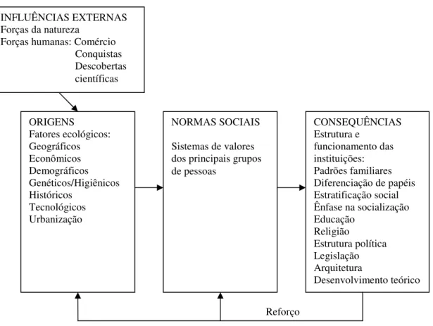 Figura 1 - A estabilização dos padrões culturais  FONTE: HOFSTEDE, 2001, p. 27 INFLUÊNCIAS EXTERNAS 