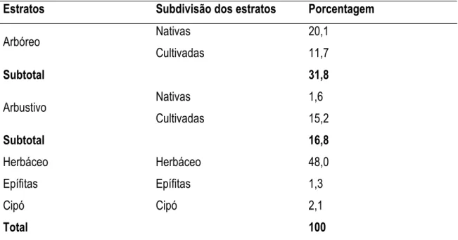 Figura 16 - Gráfico representando as porcentagens dos diferentes   estratos presentes nos quintais estudados no Mamanguá 