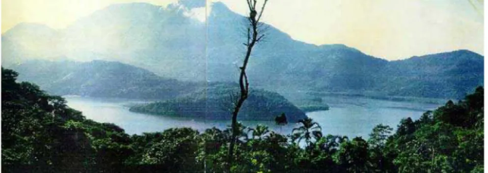 Figura 1 - Vista do Fundo do Saco do Mamanguá, foto de Paulo Nogara