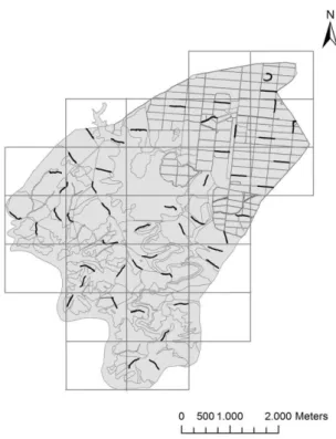 Figura 3. Localização dos transectos amostrados na Herdade do  Esporão 