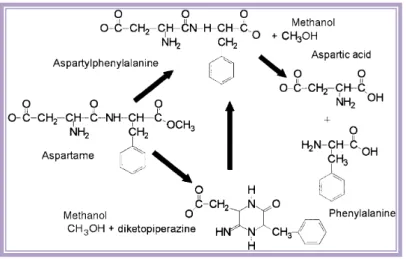 Figura 1.3 - Principais produtos de conversão do aspartame.  109