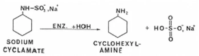 Figura 1.4 - Formação de ciclohexilamina pela hidrólise do ciclamato. 