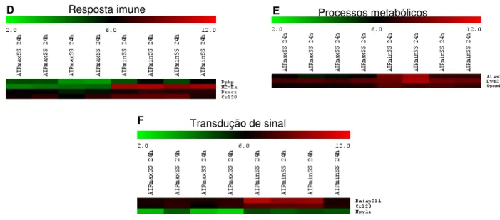 Figura 12:  Análise  da  expressão  gênica  global.  A,  B  e  C- Categorias  funcionais  de  genes  com  expressão  2 vezes nos animais AIRmax SS  comparados aos animais AIRmin SS 